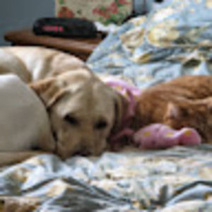 Meet your Posher, Gail